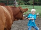 Calf Training