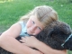 Romney sheep