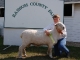 Ransom County Fair 2008