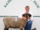Ransom County Fair 2009