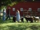 Sodbuster Days, Fort Ransom, ND