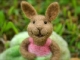 270bunny