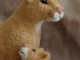 Cougar Mom and Cub