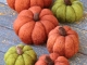 Needle Felted Pumpkins by Teresa Perleberg