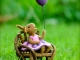 Needle Felted Bunny