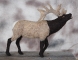 elk-2-026