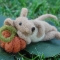 laying-down-mouse-with-pumpkin