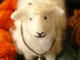 primitive_sheep_007