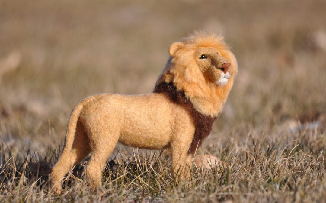 Needle Felted African Lion