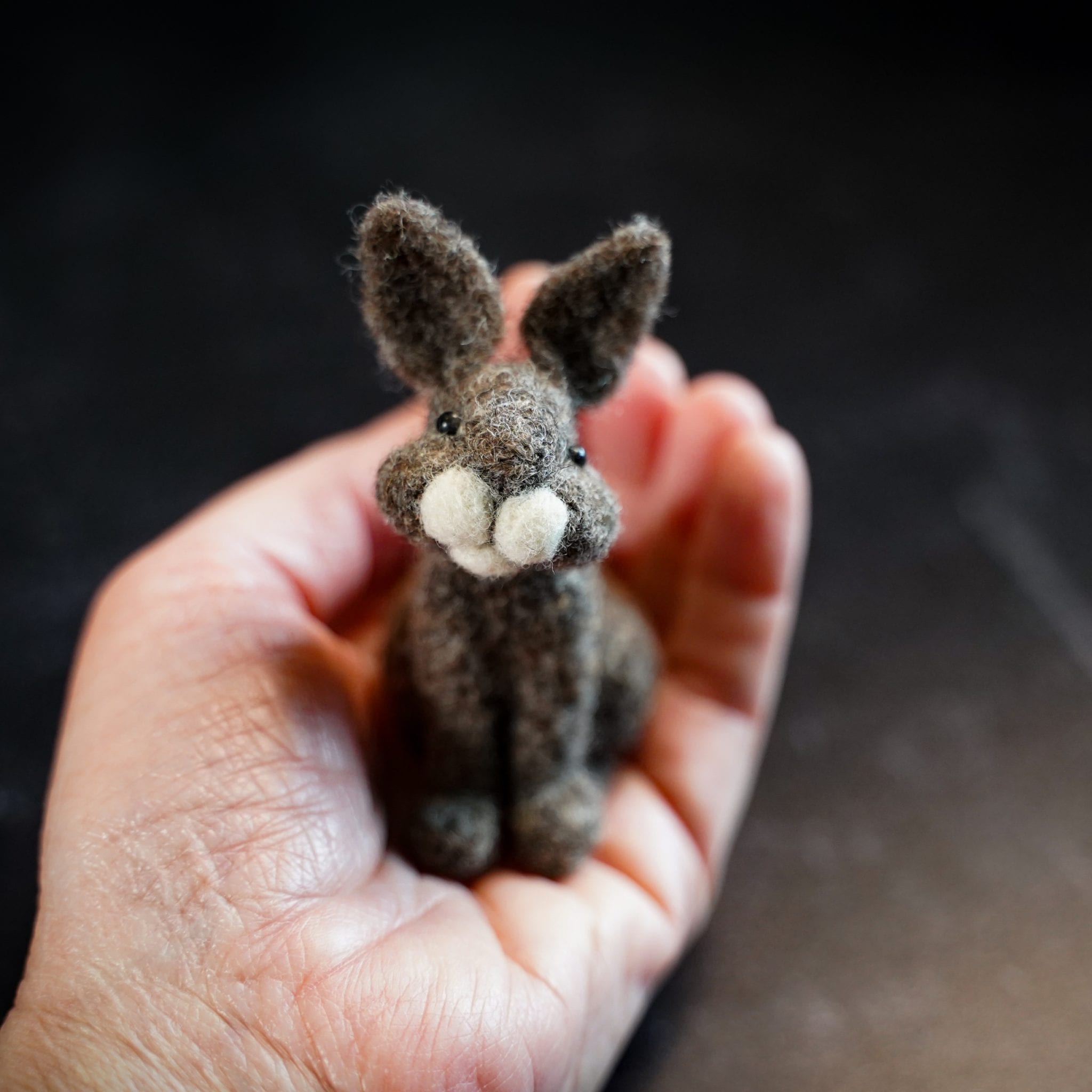 Needle Felt Sleeping Baby Bunny Kit Gift craft work beginner intermediate Wild Rabbit  The Wishing Shed