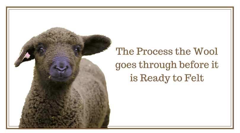 The steps that wool goes through before it is ready to felt.