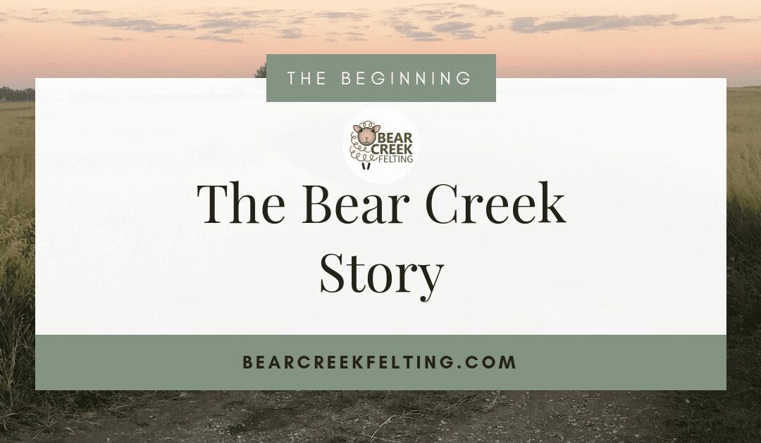 The Beginning: The Bear Creek Story